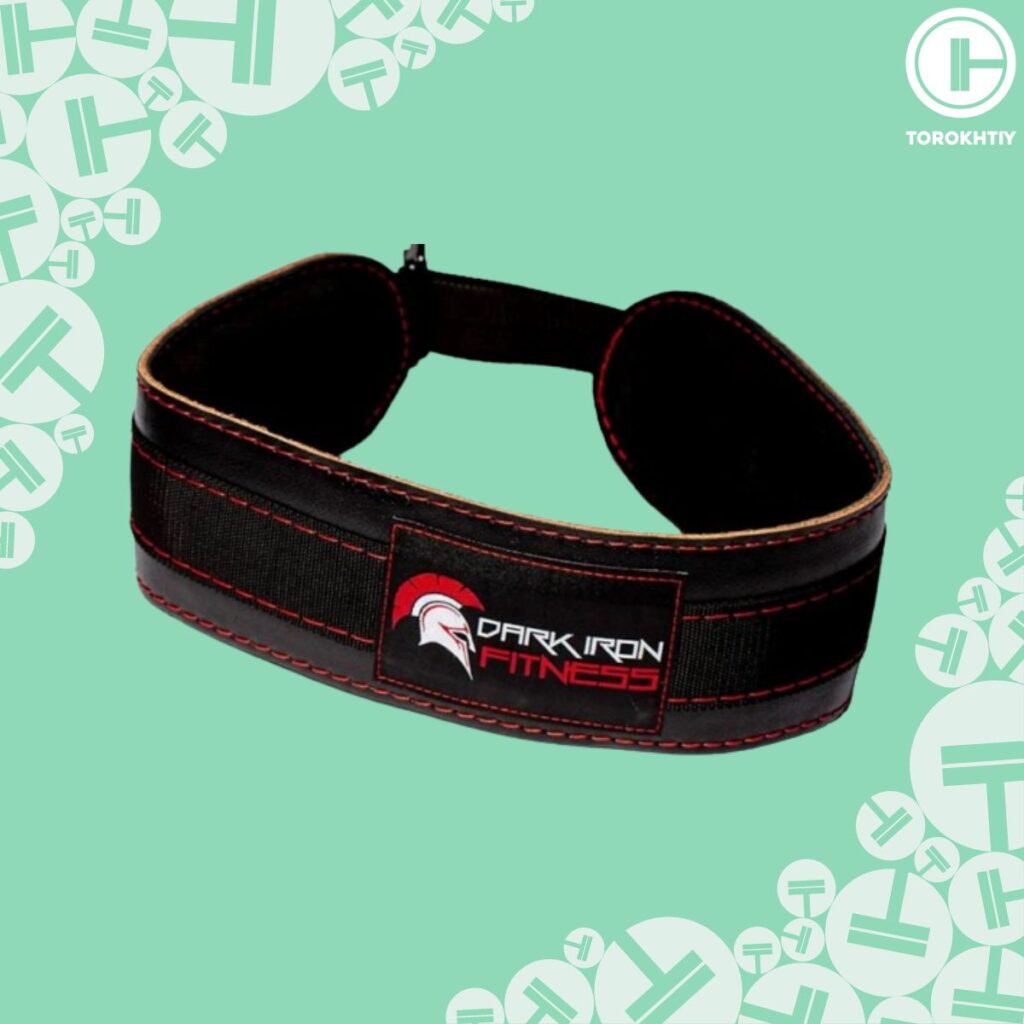 Dark Iron Fitness Dip Belt
