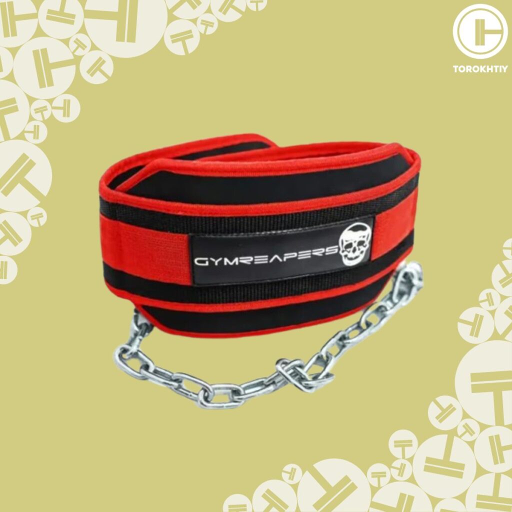 Gymreapers Dip Belt