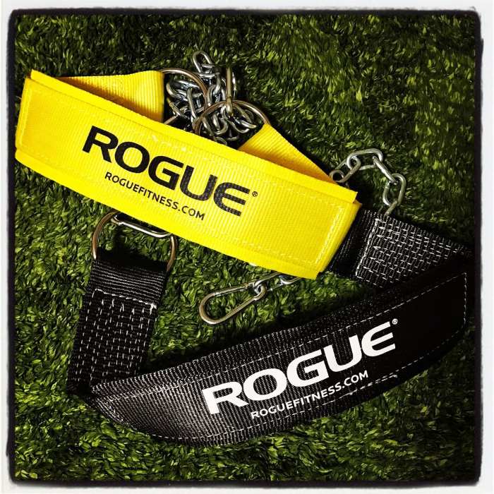 Rogue Dip Belt Instagram
