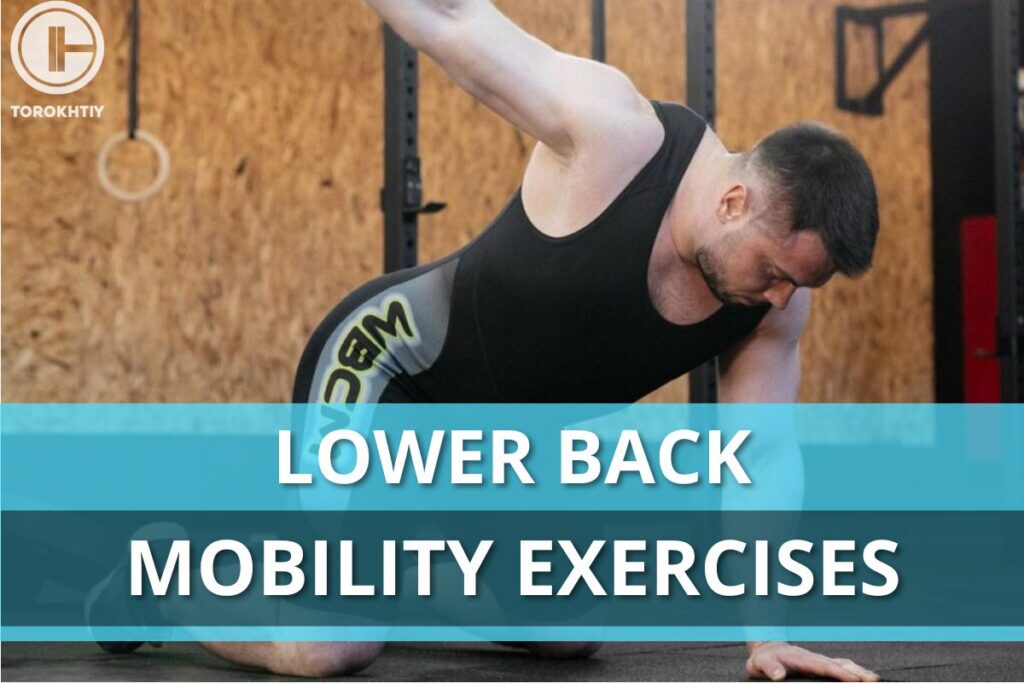 lower back mobility exercise