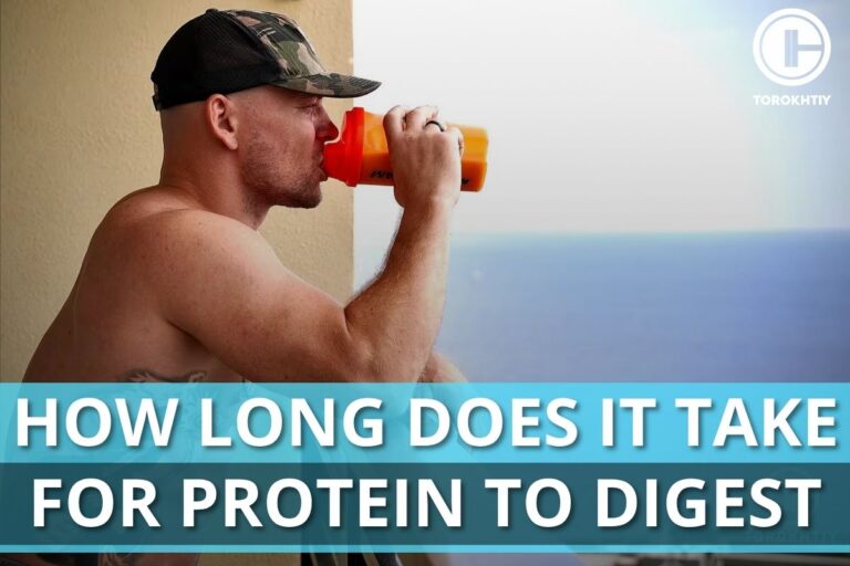 How Long Does It Take For Protein To Digest?