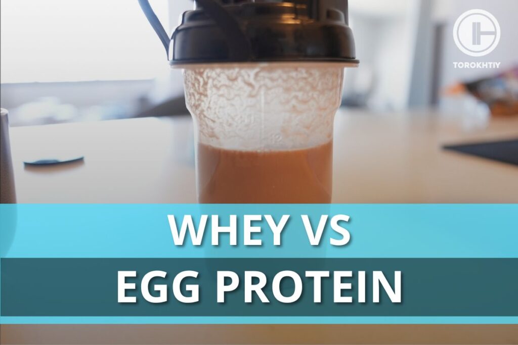 whey protein vs Egg protein