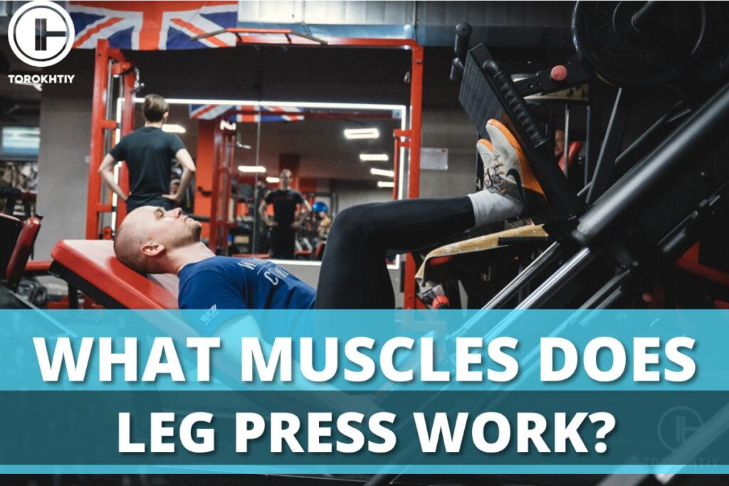 leg press machine muscles