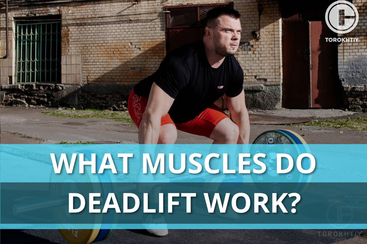 What Muscles Does Deadlift Work?