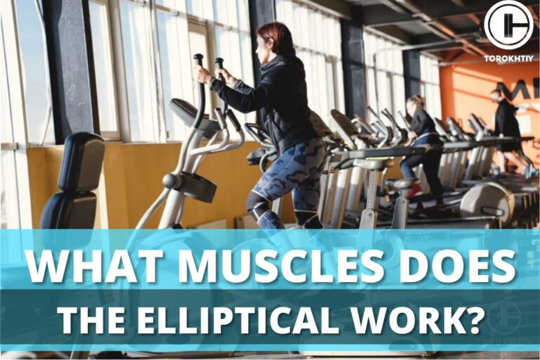 What Muscles Does The Elliptical Work?
