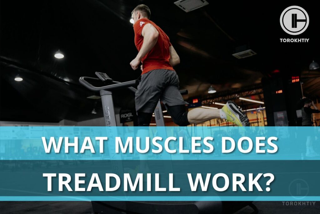 muscles worked on treadmill
