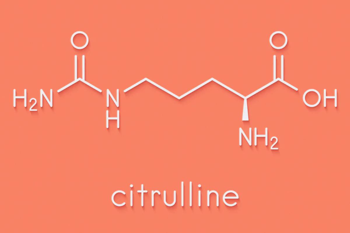 LCitrulline Vs Citrulline Malate Key Differences Explained