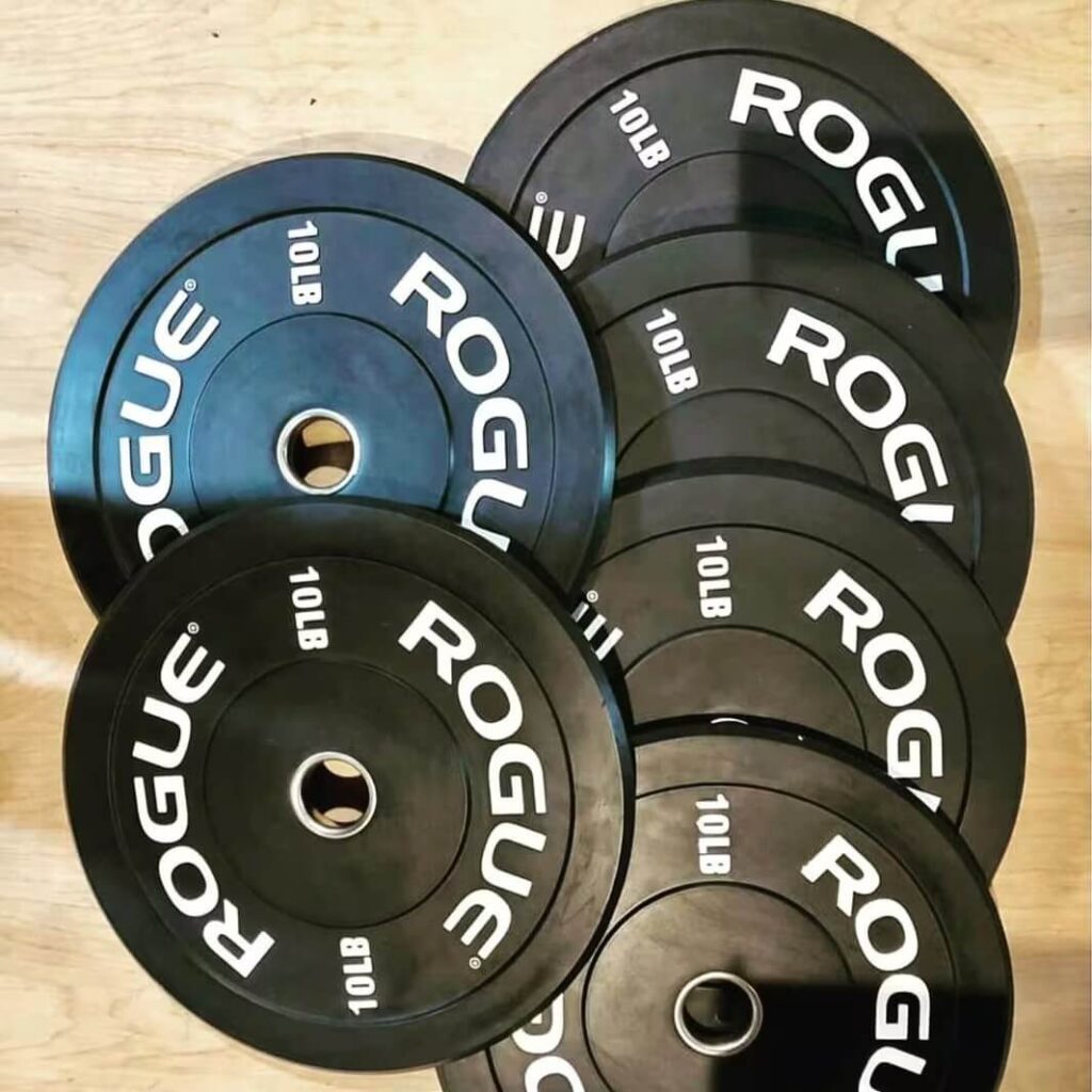 Rogue Echo Bumper Plates V2 instagram