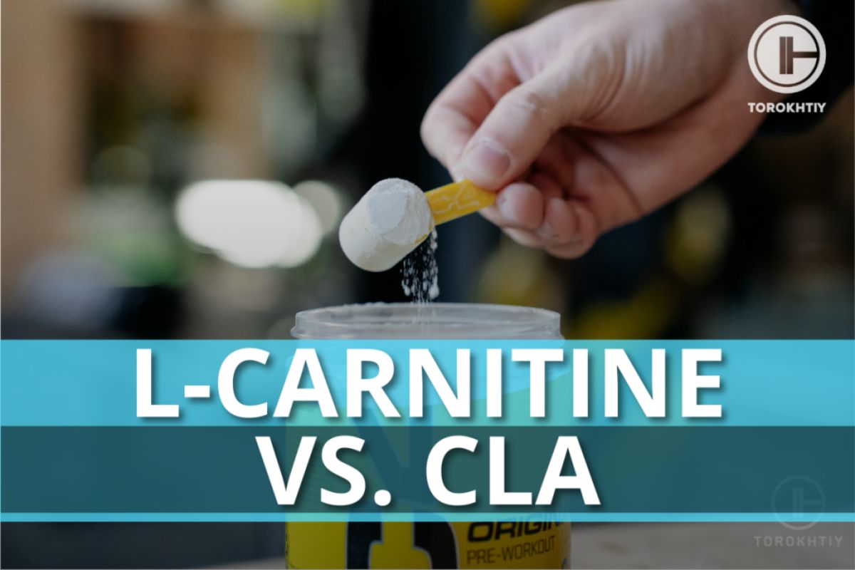 LCarnitine Vs. CLA Which Is Better For Fat Loss?