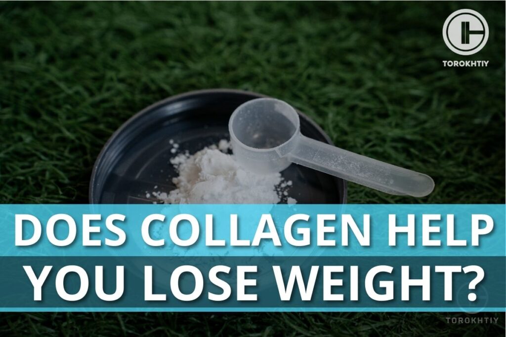 Does collagen help you loose weight?