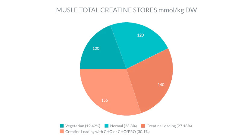 Amount of creatine in our muscles