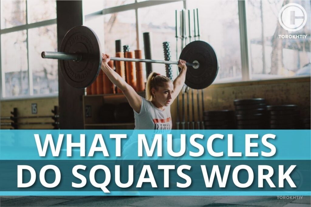 What Muscles Do Squats Work