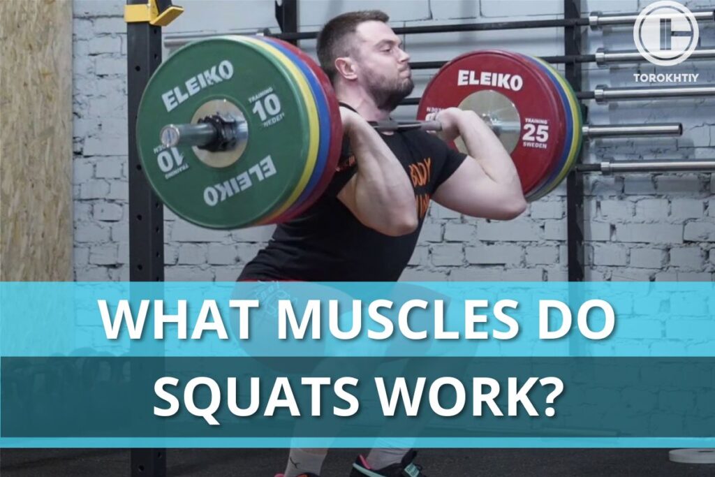 what muscles do squat work