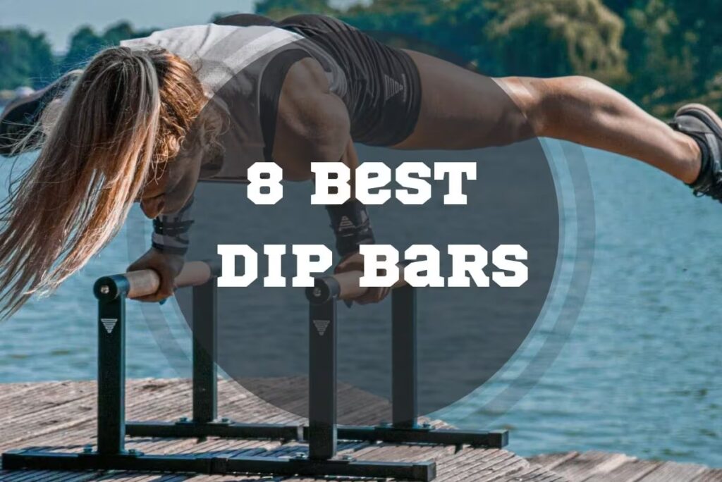 8 Best Dip Bars in 2024