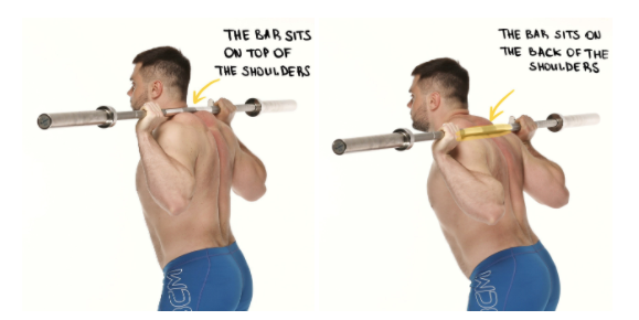 Plaacement of The Bar During Squats