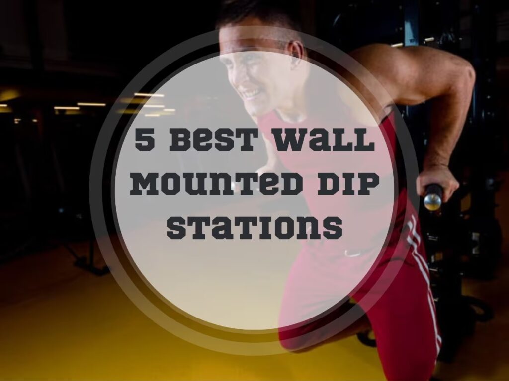 Best Wall Mounted Dip Stations