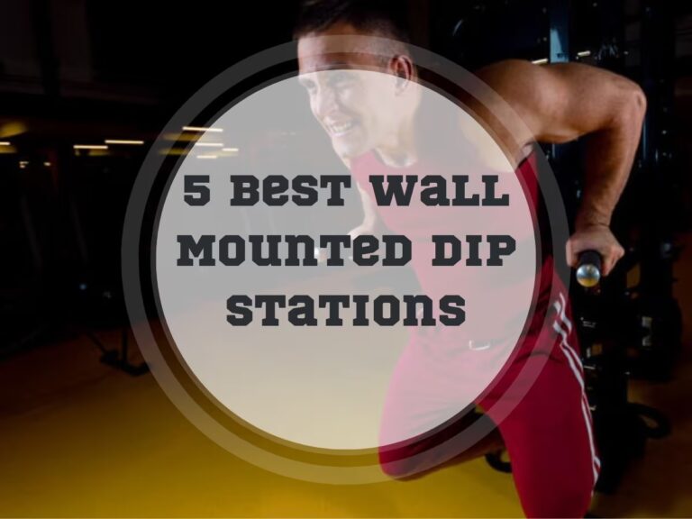 5 Best Wall Mounted Dip Stations in 2024