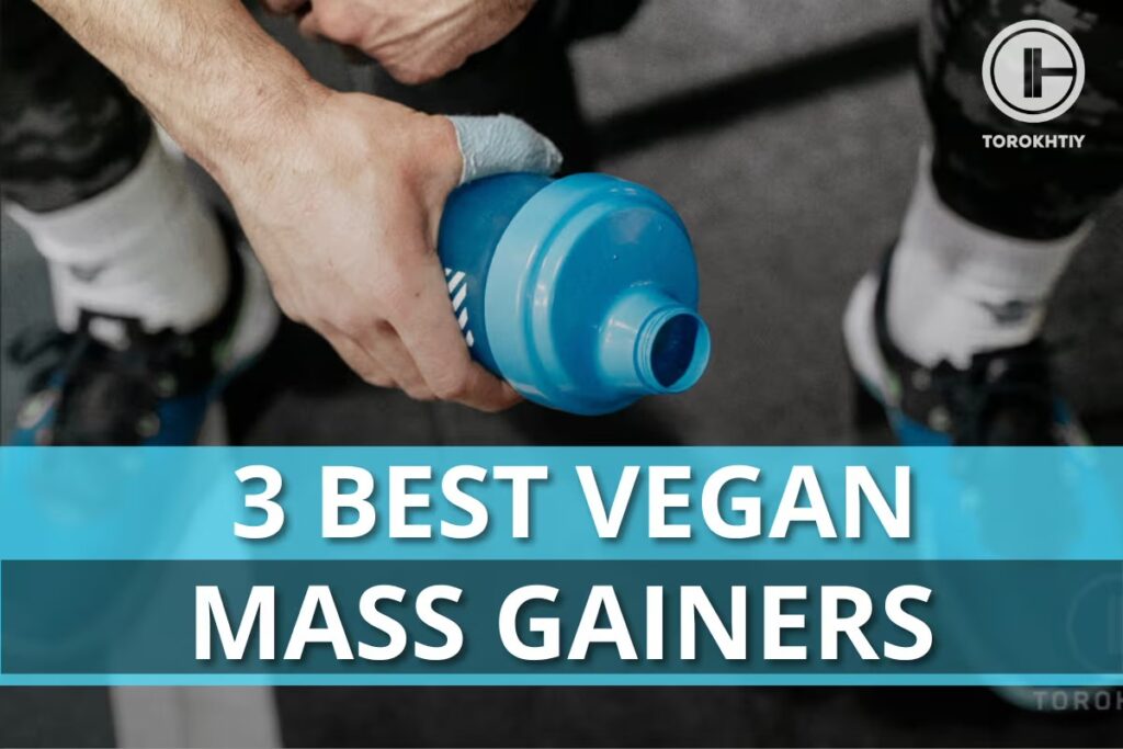 Best vegan mass gainers torokhtiy