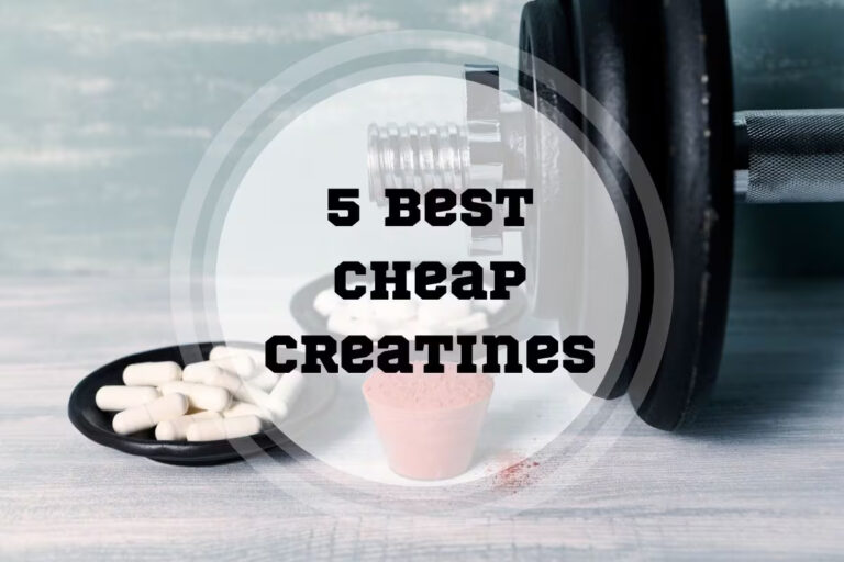 5 Best Cheap Creatine Supplements in 2024