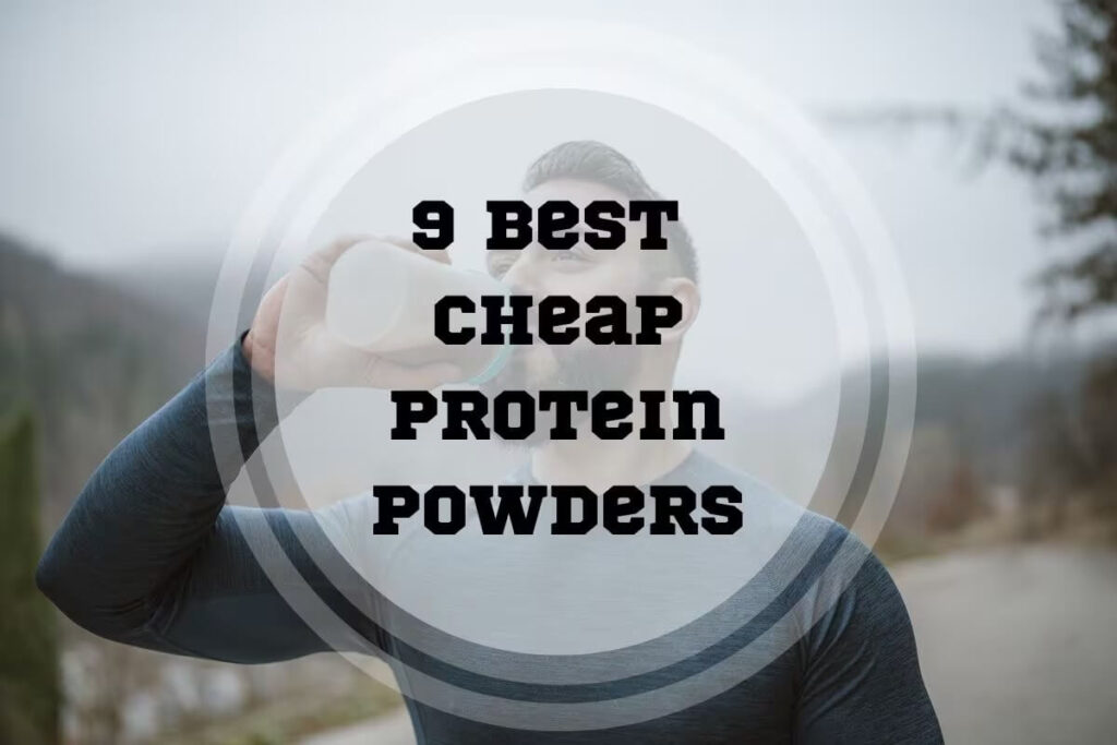 Best Cheap Protein Powders