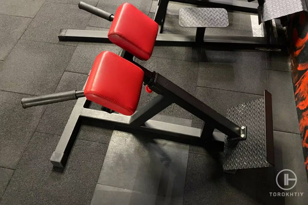 exercises by roman chair