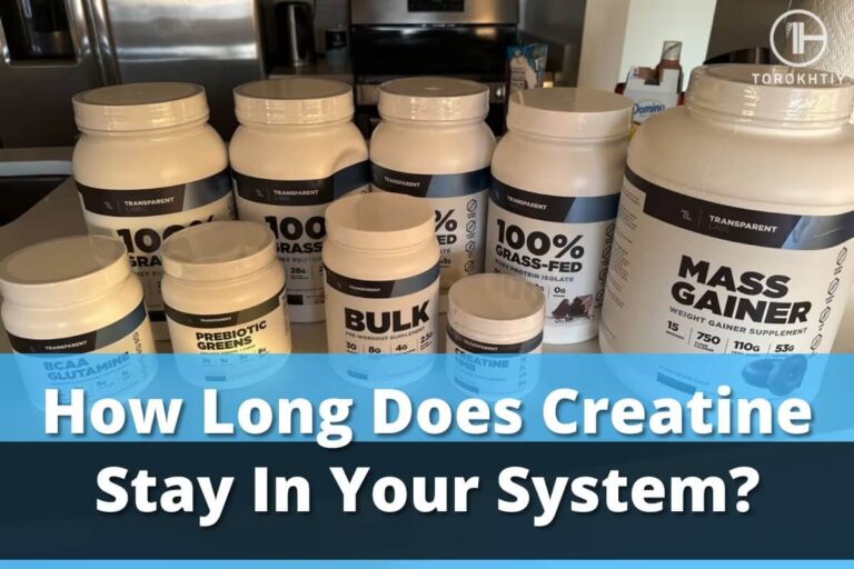 How Long Does Creatine Stay In Your System?