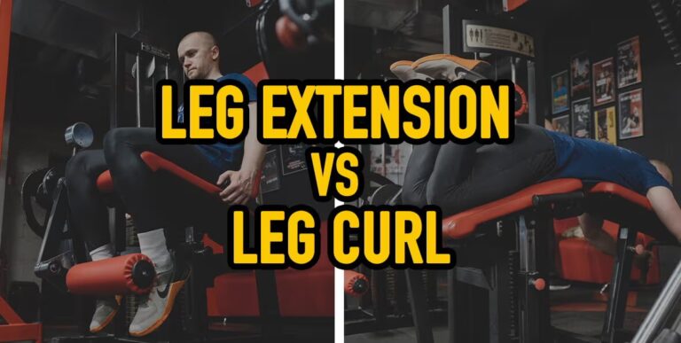 Leg Extension vs Leg Curl: Everything You Need to Know