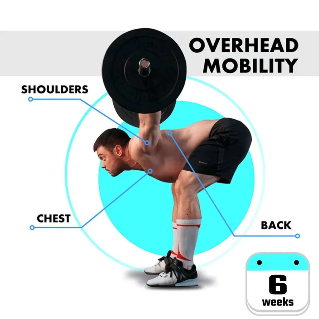 overhead mobility