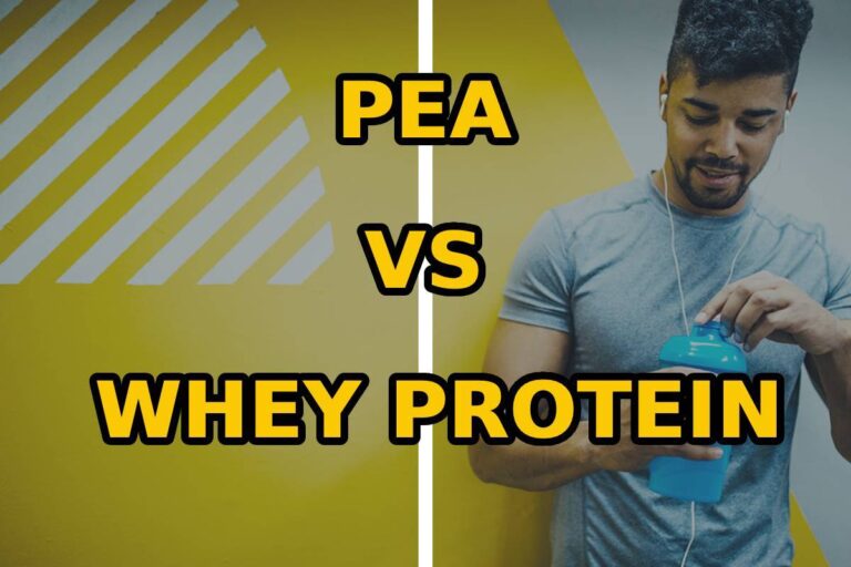 Pea vs Whey Protein: Which Is More Effective?