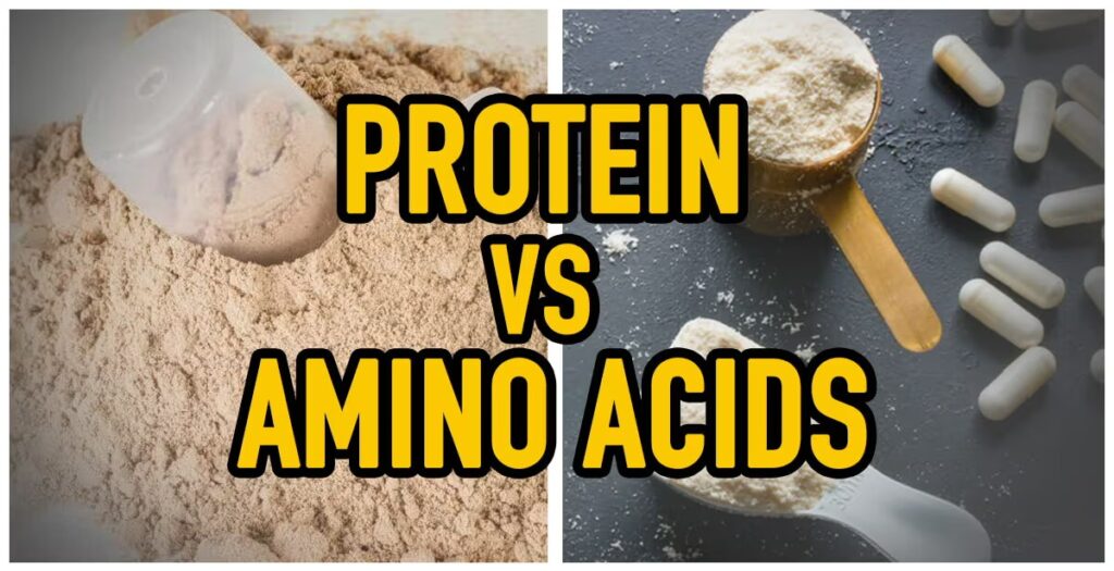 protein vs amino acids