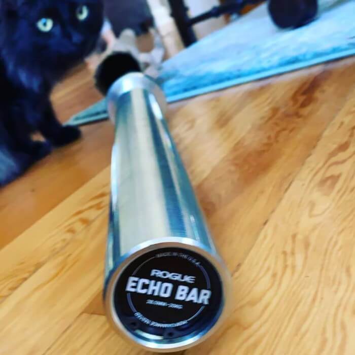 ROGUE Echo Bar 2.0 instagram