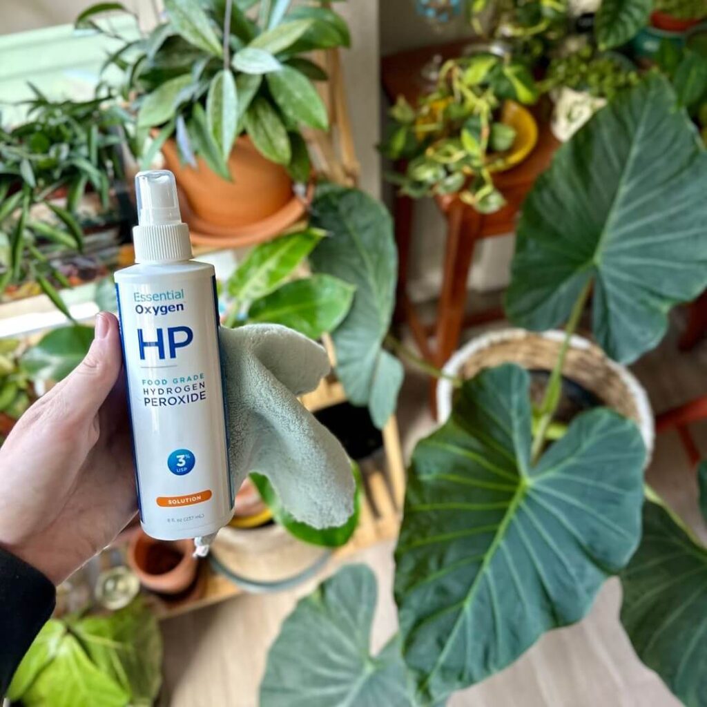 Essential Oxygen Hydrogen Peroxide instagram