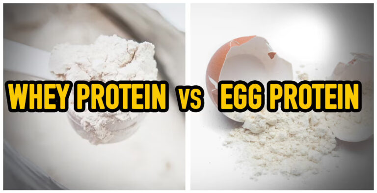 Whey vs Egg Protein: Which Is Better for You?