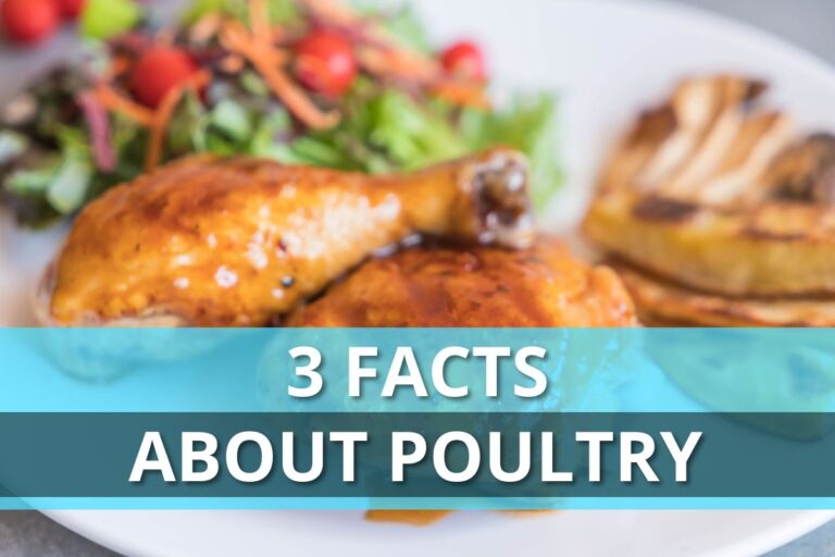 3 Facts About Poultry