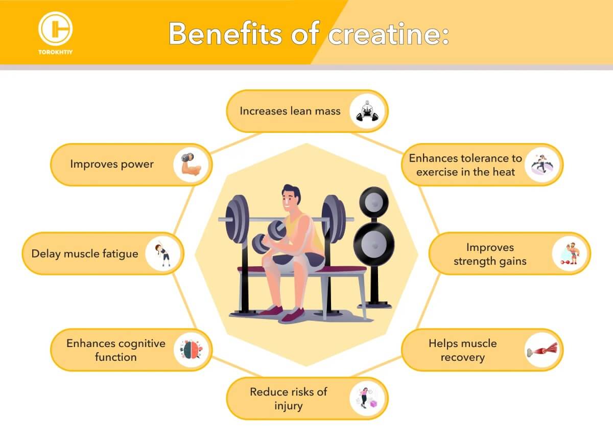 Benefits of Creatine in detail