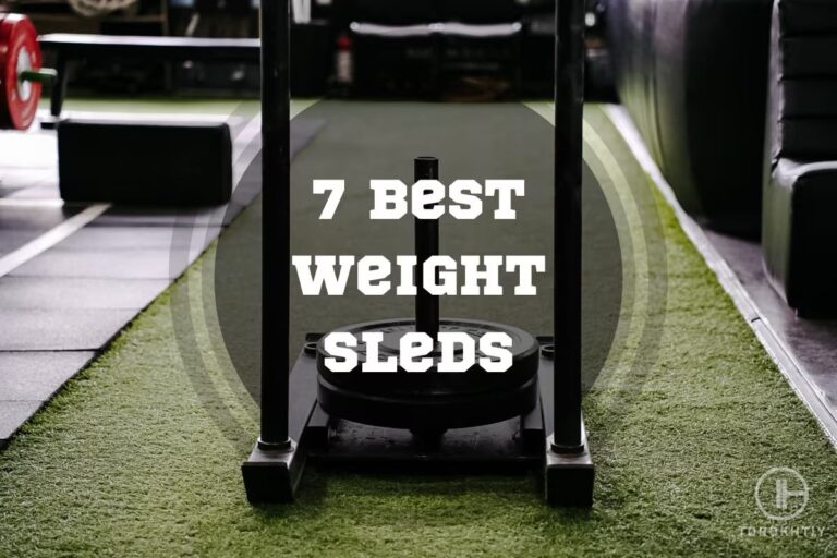 7 Best Weight Sleds in 2024