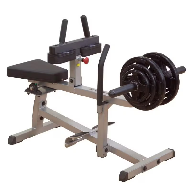 Body-Solid GSCR349 Calf Gym Machine