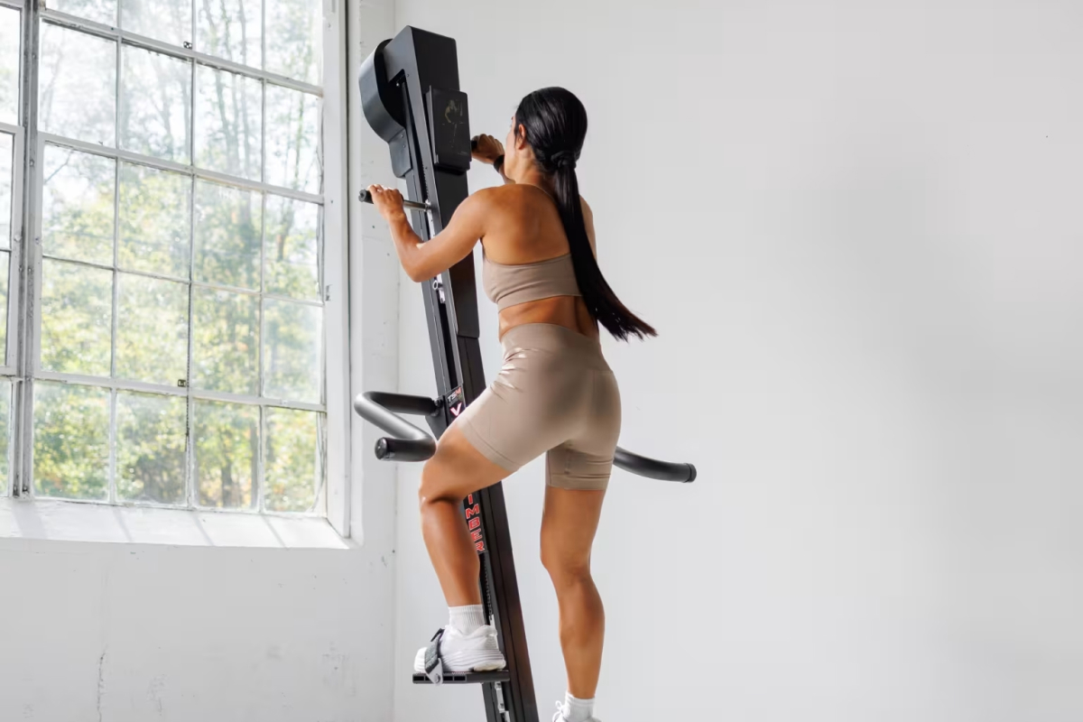 stair climber exercise machines