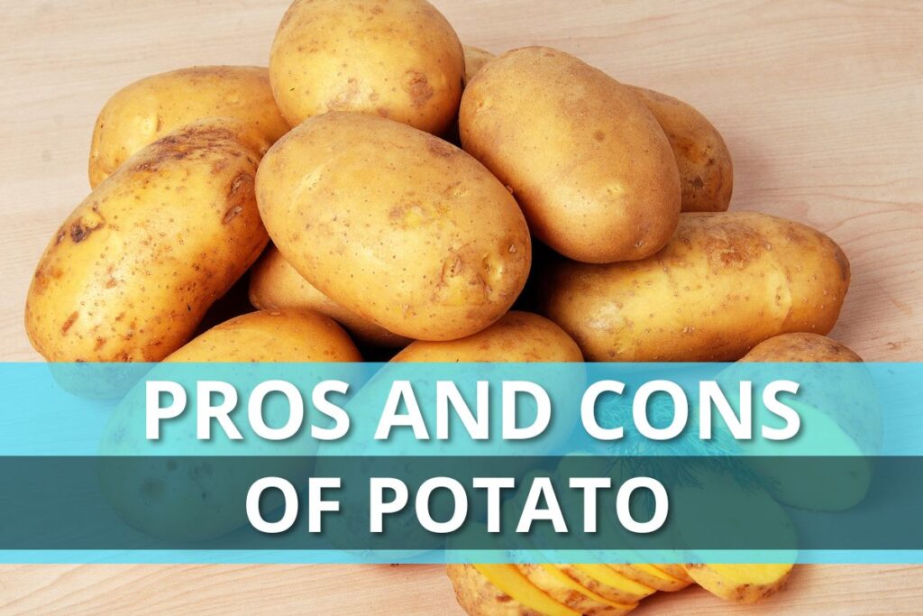 PROs and CONs of potato