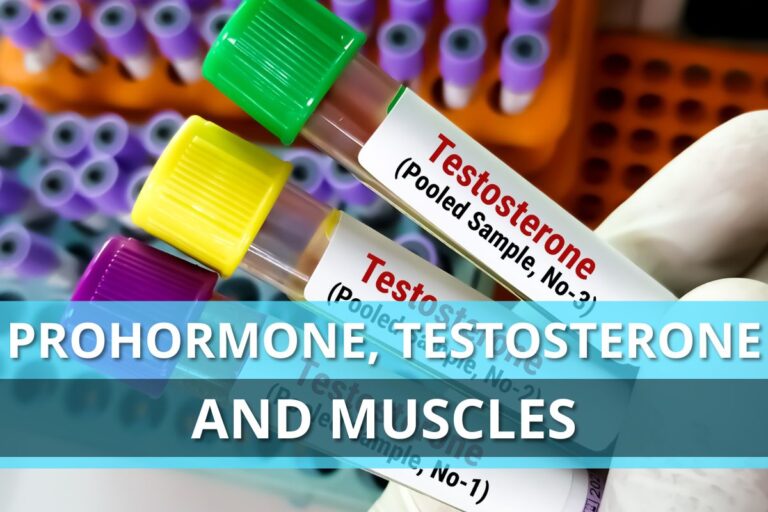 Prohormone, Testosterone And Muscles