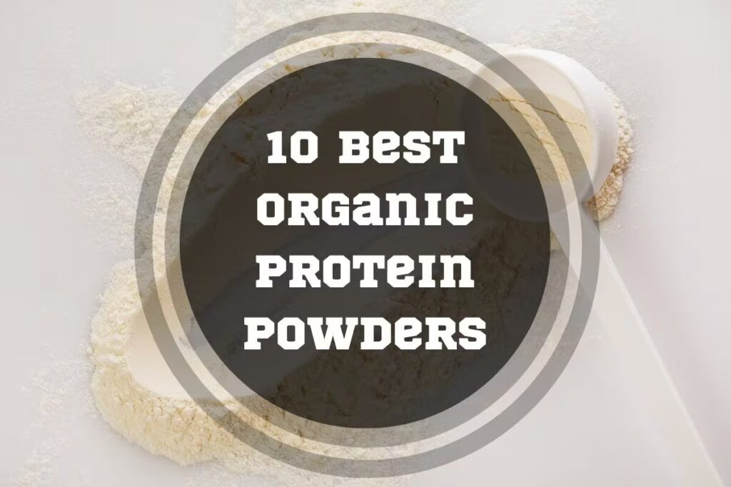 best organic protein