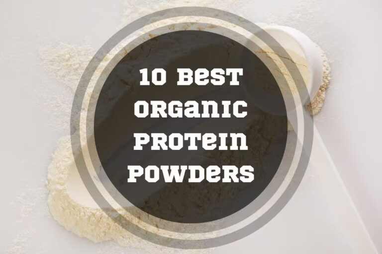 10 Best Organic Protein Powders in 2024