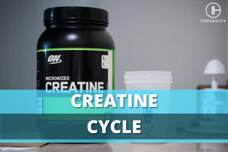 Creatine Cycle: Is it Necessary for Optimal Results?