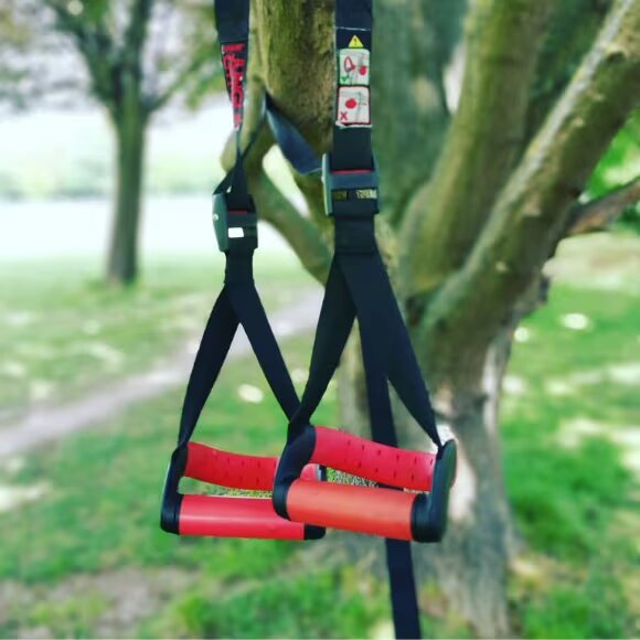 jungle gym suspension trainer on tree 