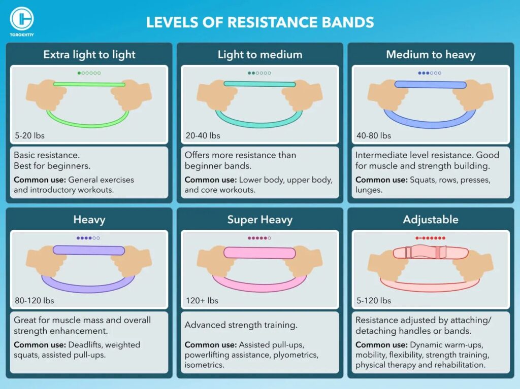 levels of sesistance band description