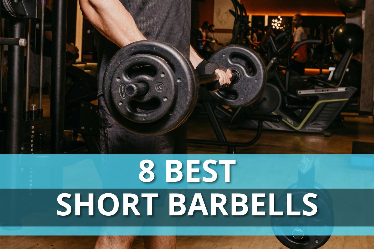 8 Best Short Barbells List