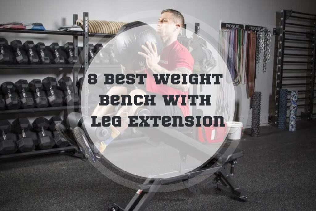 8 Best Weight Benches With Leg Extension in 2024