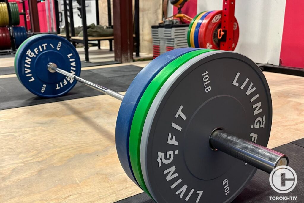 view on living fit bumper plates