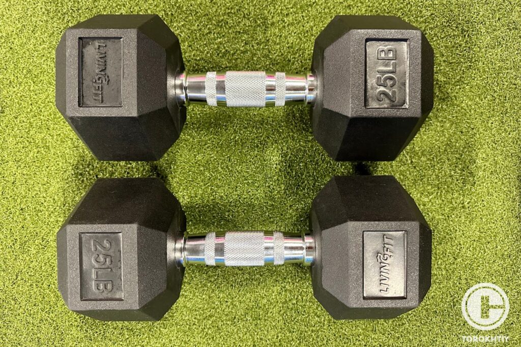 dumbbells by living fit