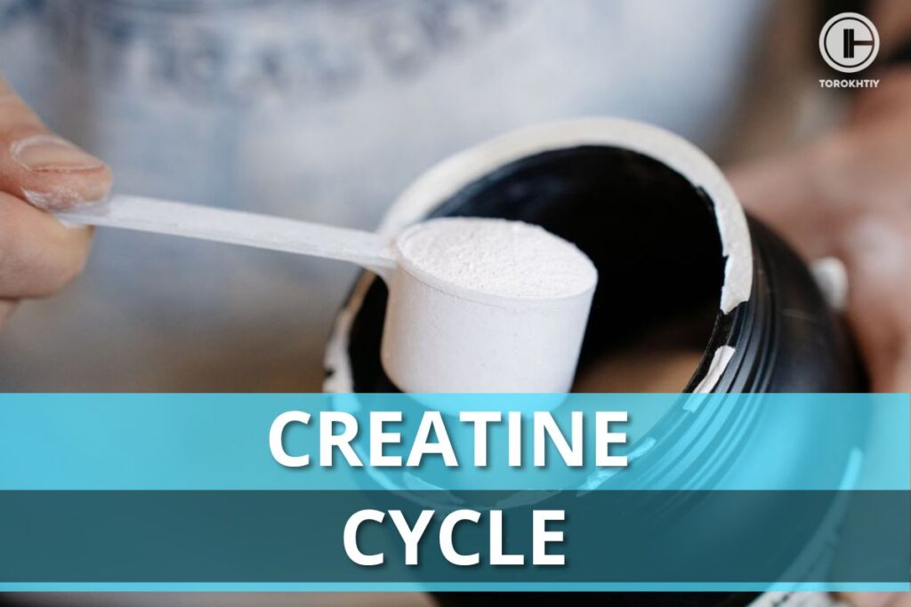 scoop of creatine